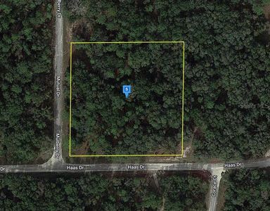 7308 Mulberry Dr #9, Webster, FL, 33597