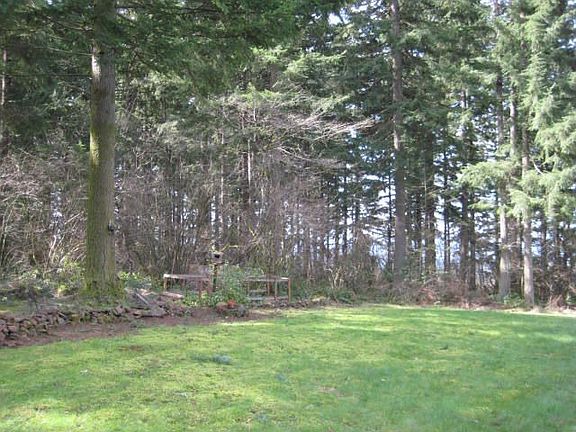 View from rear deck