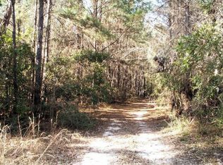 24281 Morgan Cemetery Rd, Cleveland, TX 77328