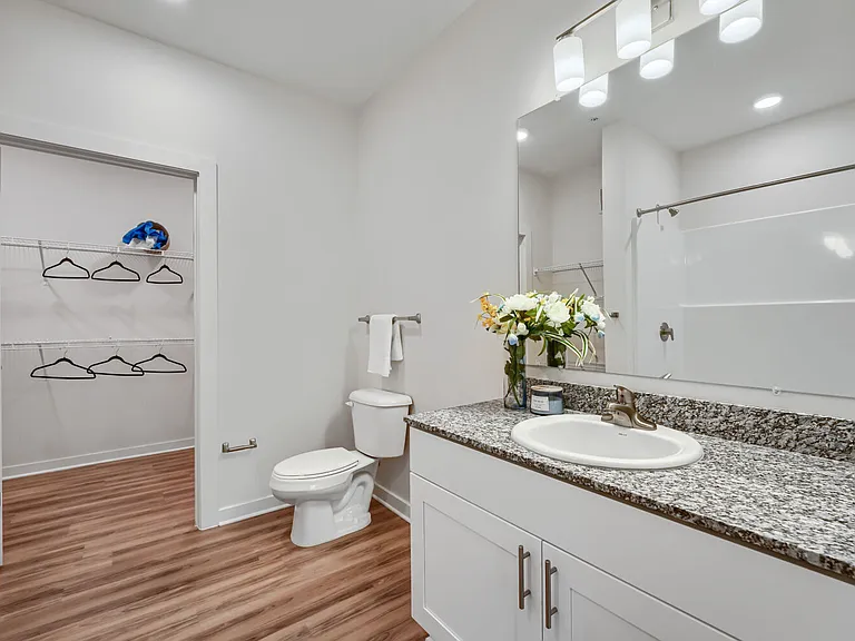 Bathroom with sink, toilet and walk in closet