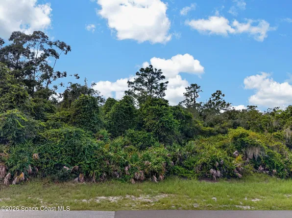 0 Deer Rd, Frostproof, FL 33843