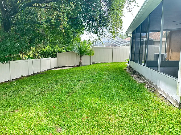 Backyard