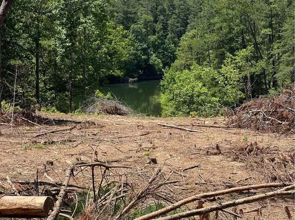 0 Bay Hills Dr, Jasper, AL 35504