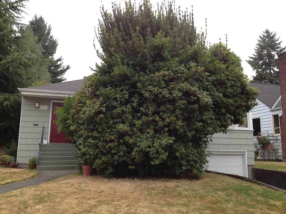 2nd image of 6803 34th Ave NE