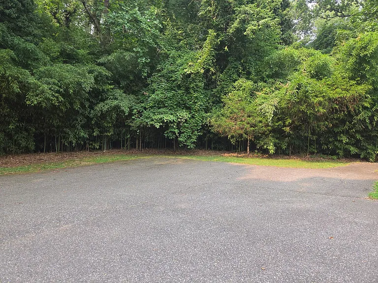 116 Mimosa Dr — Photo 14