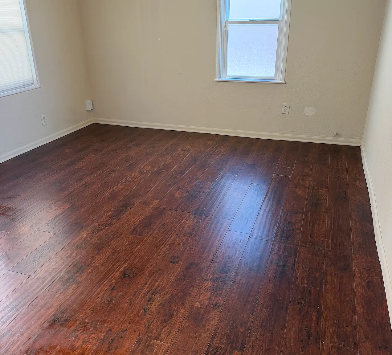 Studio, 415 sqft, $1,660 — Photo 3