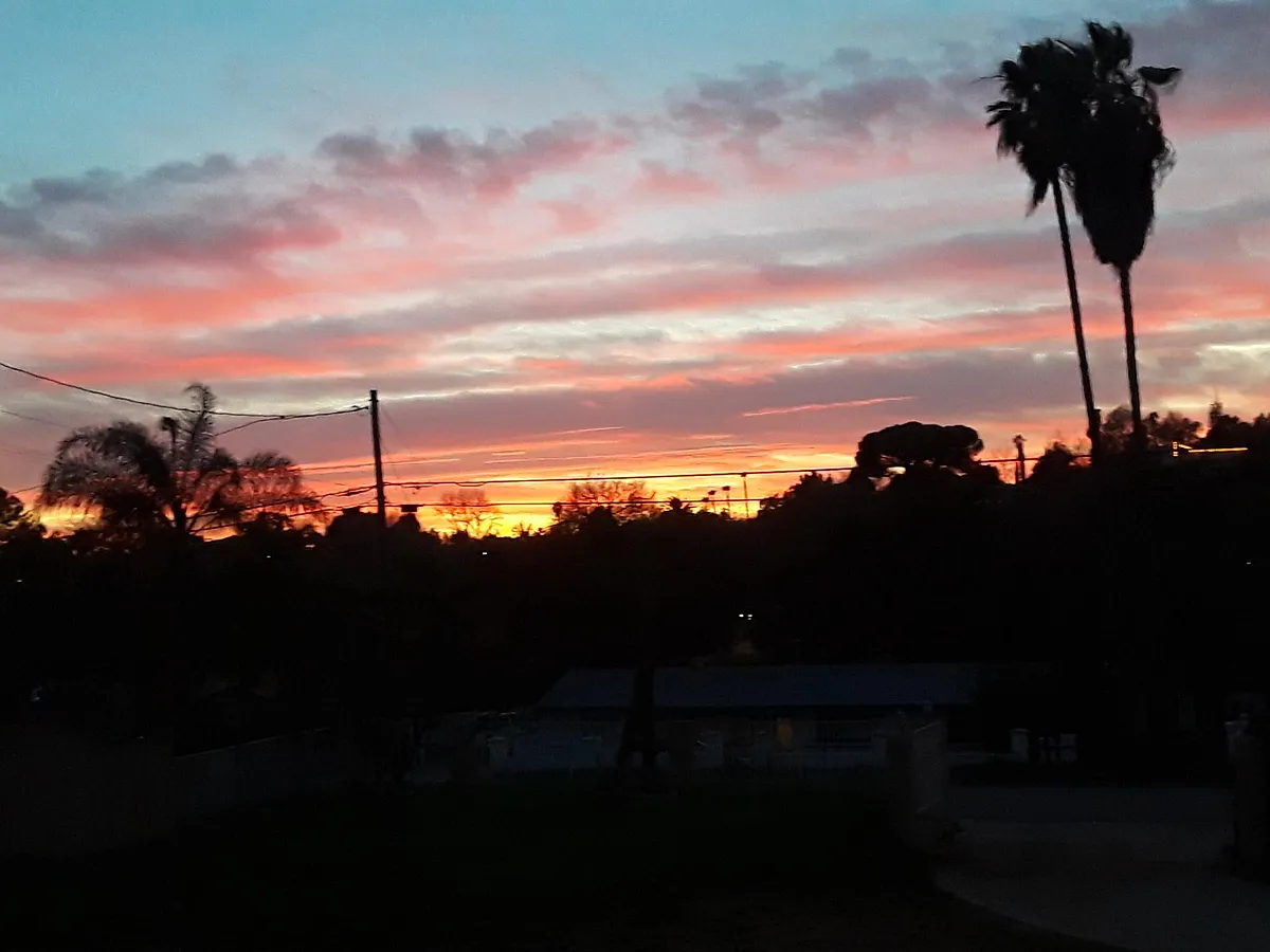 Sunset scene outside your front family room window - 1626 York Dr #A
