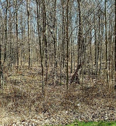 5th image of 283 David Pkwy