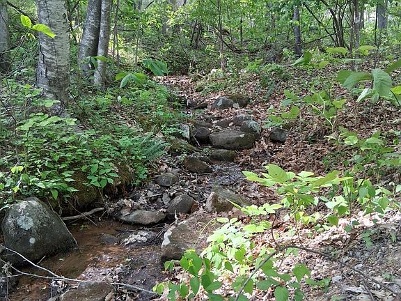 3rd image of 0 Robinson Gap Rd