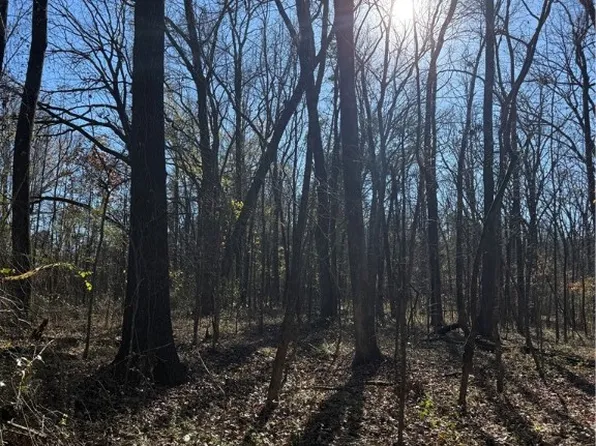 Nebo Acres Road 9 10 #7-8-11, Dardanelle, AR 72834