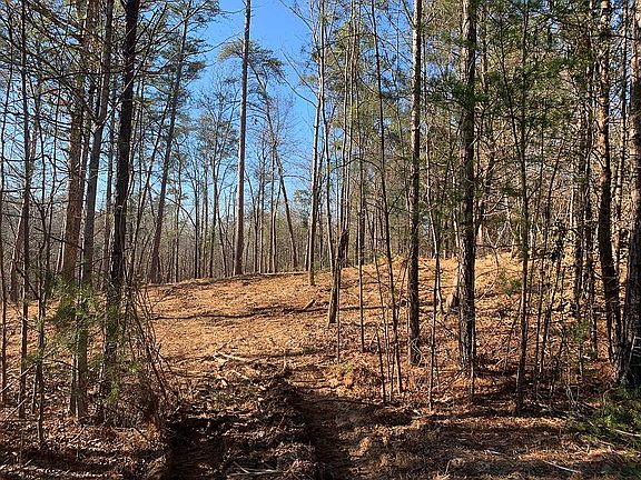 4th image of 11204 Hilltop Loop