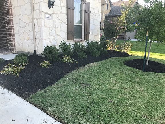 Front yard