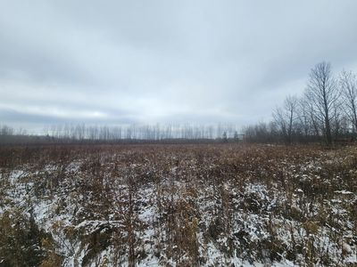 Xxx 650th St, River Falls, WI, 54022
