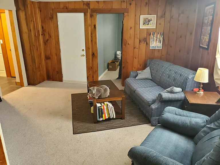 Sadly, the cat does not come with the unit