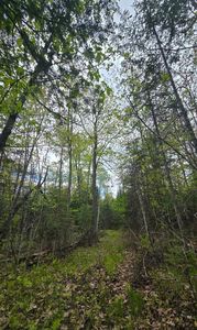 9790 S State Highway 35, Foxboro, WI, 54836