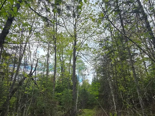 9790 S State Highway 35, Foxboro, WI 54836