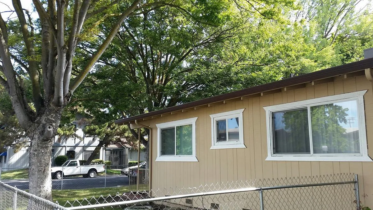 2 bed, 805 sqft, $1,800 — Photo 4