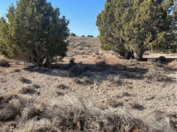 591 E 295th St S, Ely, NV 89315