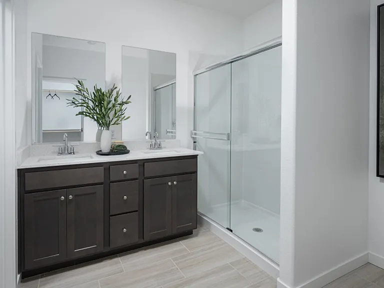 Luxurious master bath with a standing shower and his-and-her sinks