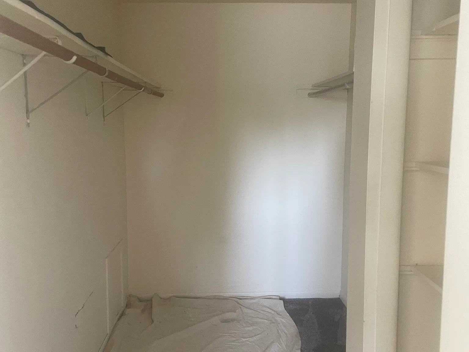 1 bed, 800 sqft, $1,500 — Photo 4