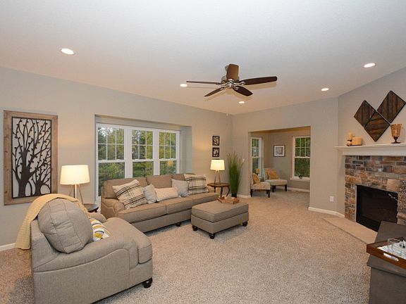 Plush Carpet in Living Room