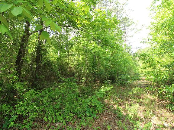3rd image of 2 Mott Rd
