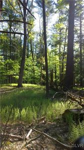 677 Raccoon Ct, Bushkill, PA, 18324