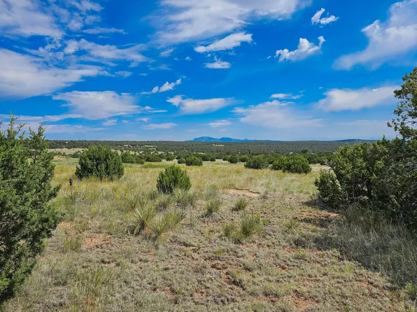 289 Gonzales Rd, Edgewood, NM 87015