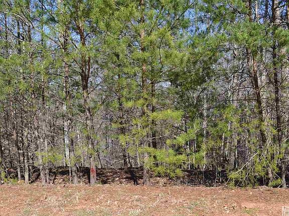 2nd image of 3142 Mountain Creek Dr