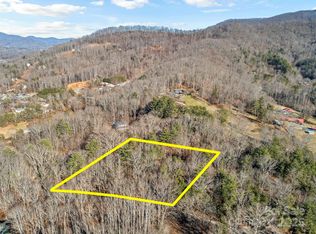 99999 Old Buckeye Cove Rd, Swannanoa, NC 28778