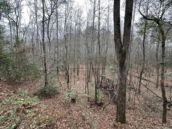 N Sardis Rd, Mabelvale, AR 72103