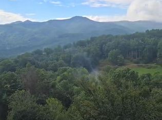 99999 Bobcat Trl, Balsam, NC 28707