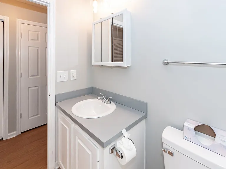 1441 Swamp Angel Ct — Photo 26
