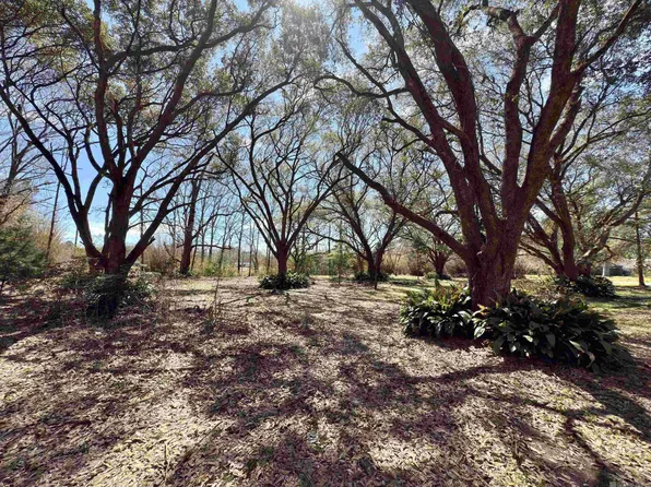 10116 Carmel Dr, Baton Rouge, LA 70818