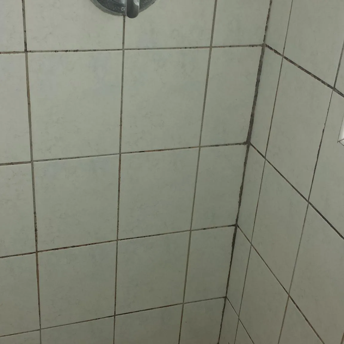 8 bed, $2,500 — Photo 3