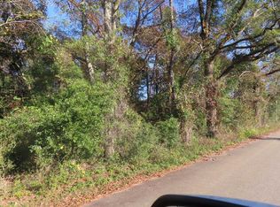 LOT 3 Graveyard Rock Rd, Santee, SC 29142