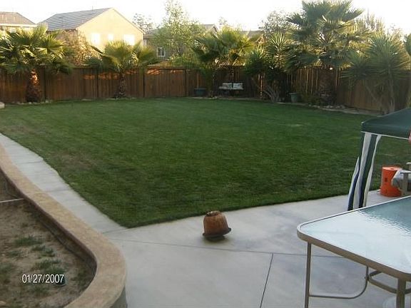 Large Yard