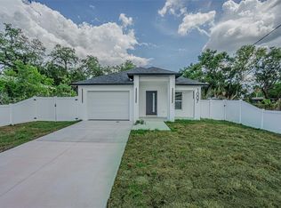 1007 E Eskimo Ave, Tampa, FL 33604