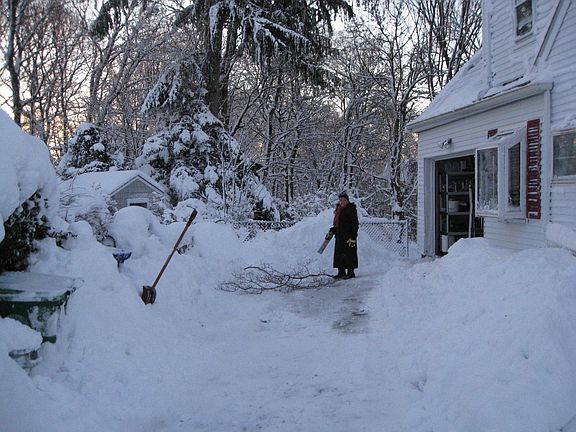 Sawing limbs for kindling for wood burning stove near garden window Jan. 2011