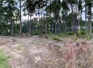 28019 Etta Blount Rd, Albany, LA 70711