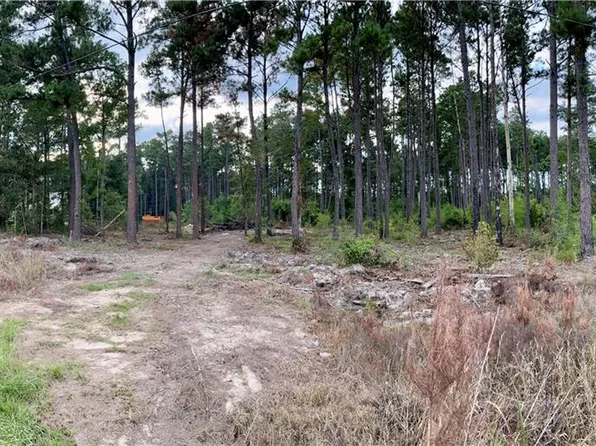 28019 Etta Blount Rd, Albany, LA 70711