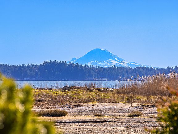 Stunning Mt Rainier views!