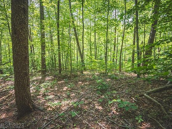 5th image of Tbd Dogwood Mountain Ln