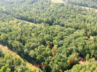 237 Anthemis Rd, Sparta, GA 31087