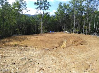 371 Pressmens Home Rd, Rogersville, TN 37857