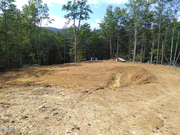 371 Pressmens Home Rd, Rogersville, TN 37857