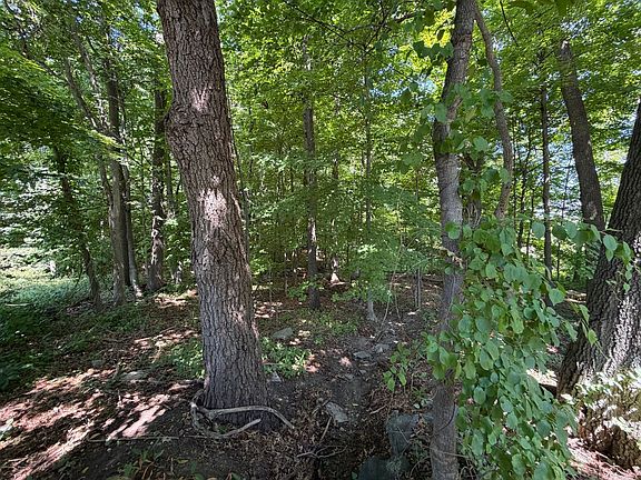 5th image of 15 Myrna Rd