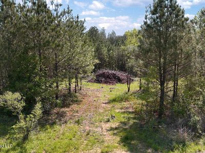 290 Mount Helm Rd, Brandon, MS, 39047