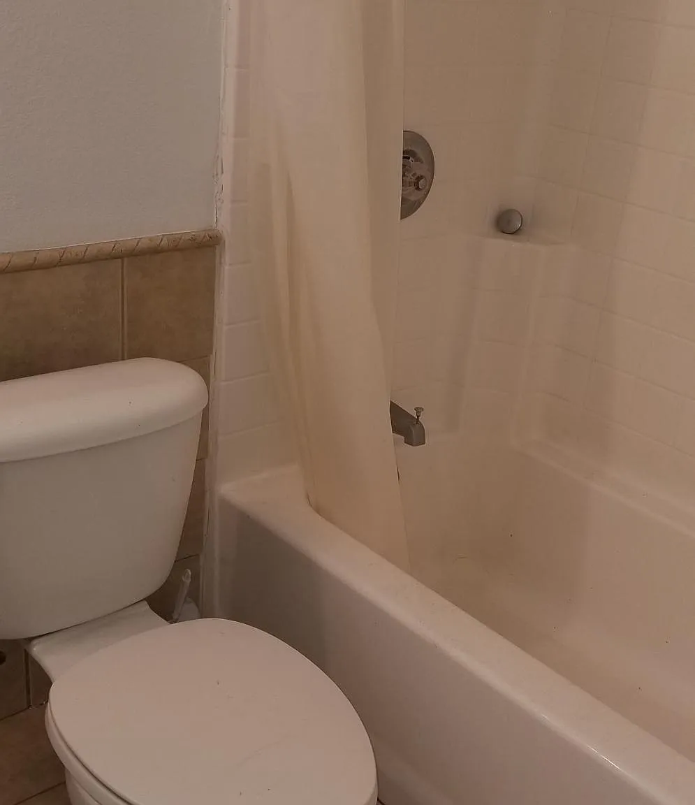 2 bed, 800 sqft, $1,750 — Photo 3