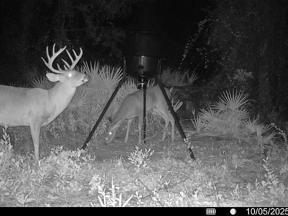 3rd image of 3181 Old Clyattville Rd